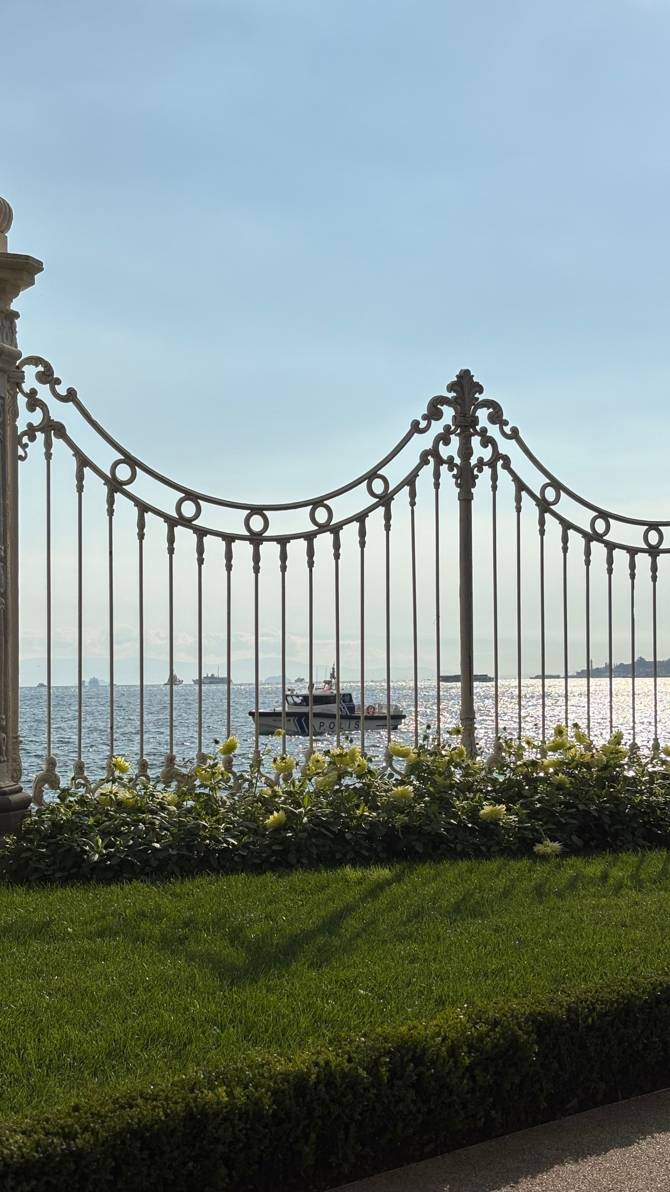 Elegant Iron Fence Overlooking Serene Lake View · Free Stock Photo