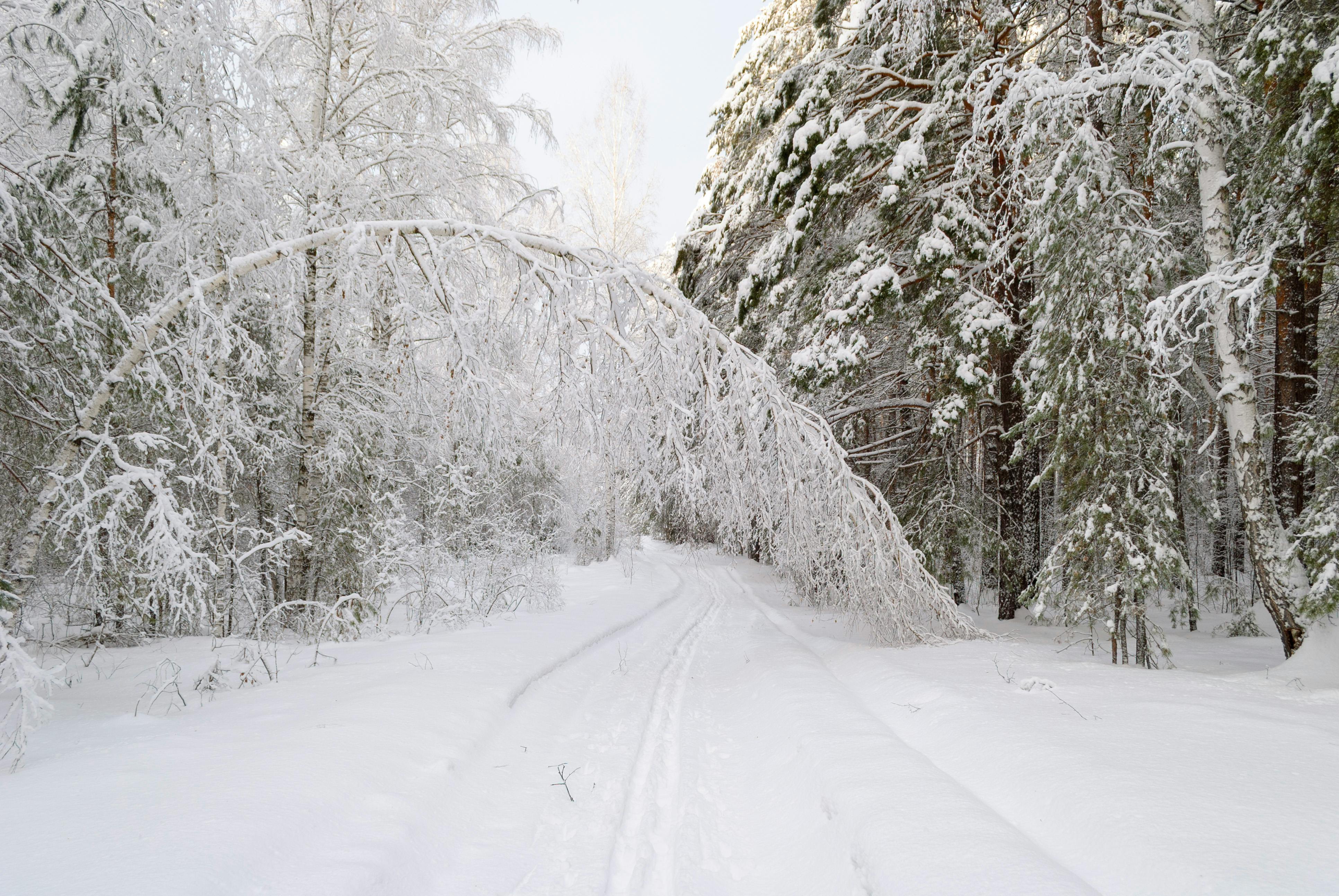 Roundup: Weather cancellations / Mortgage rates rise / Plumbing rules reworked — Photo by Mikhail Peace on Pexels
