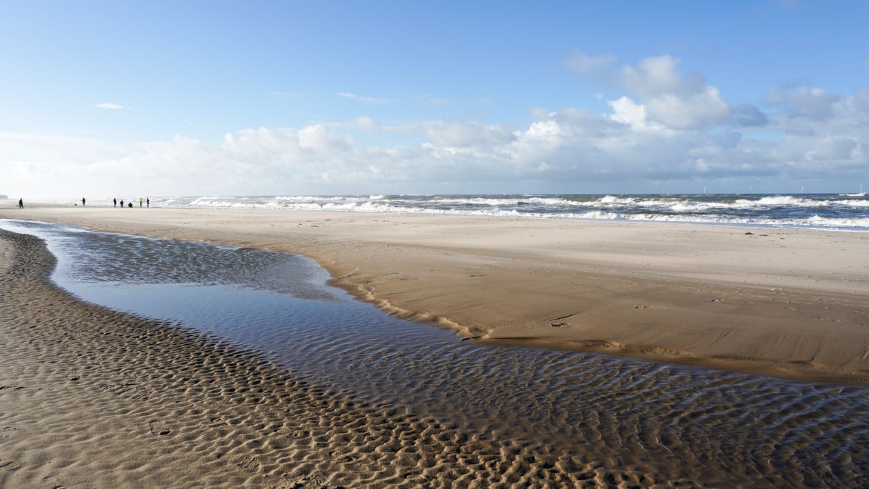 Sande Denmark Scenic Beach View in Hvide Sande, Denmark · Free Stock Photo