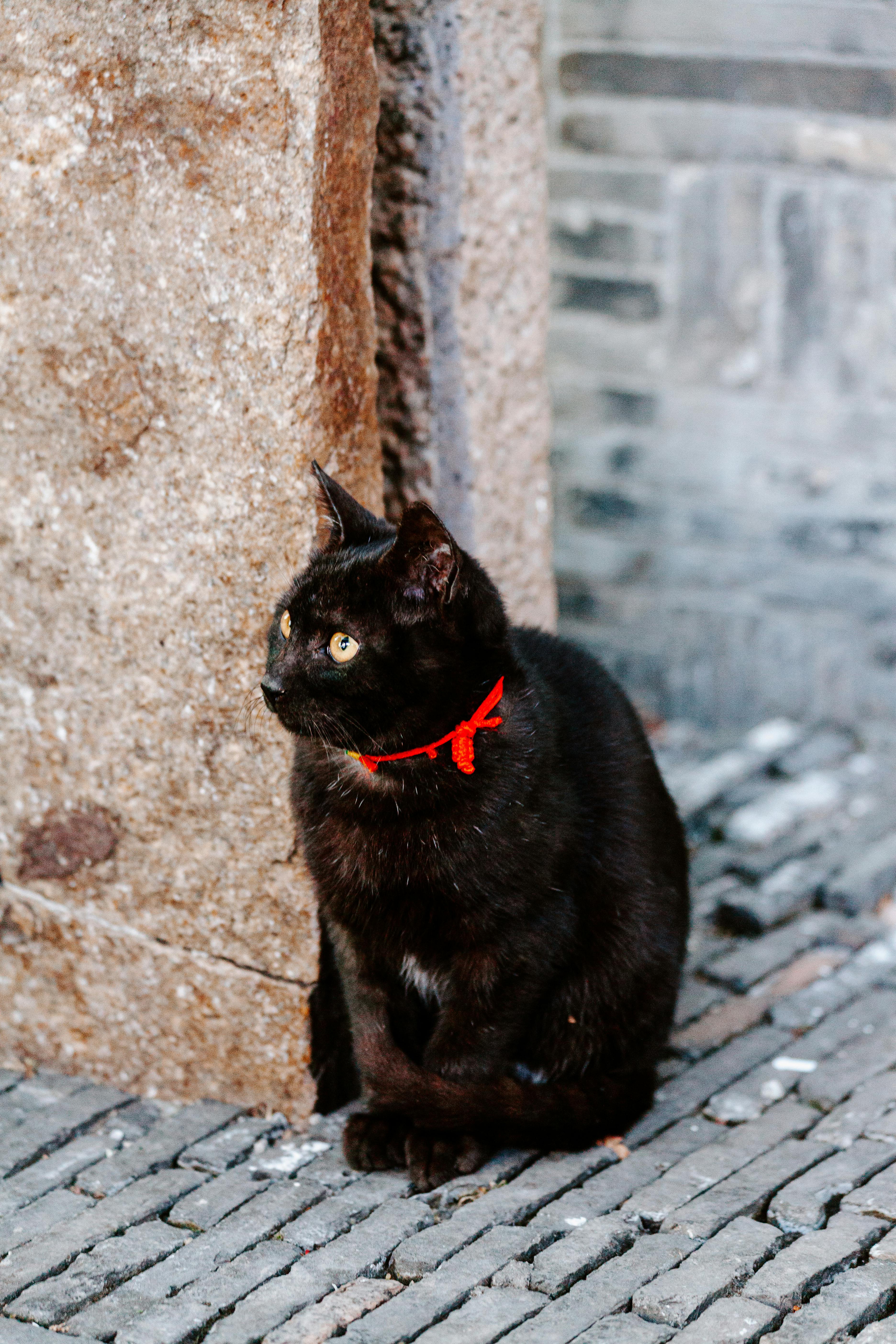 51 Kidney Stones Tips