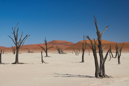 Sossusvlei, Namibia photo 16