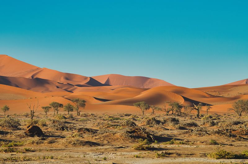 Namibia Sossusvlei red sand dunes