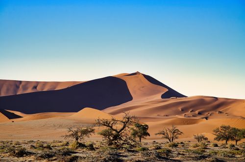 Free Stunning view of Sossusvlei sand dunes under a clear blue sky in Namibia. Stock Photo