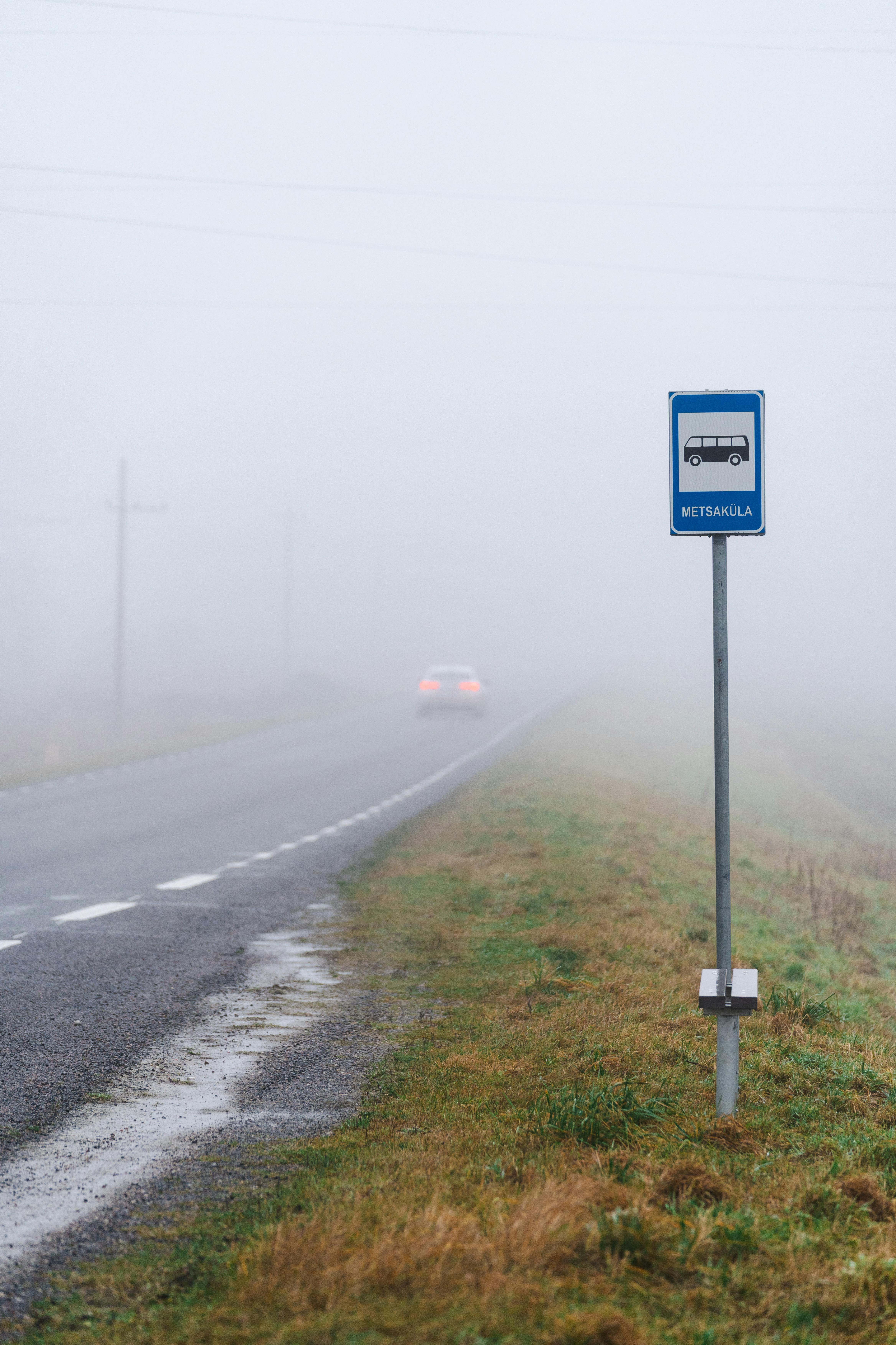 Free stock photo of bus stop, car lights, cold