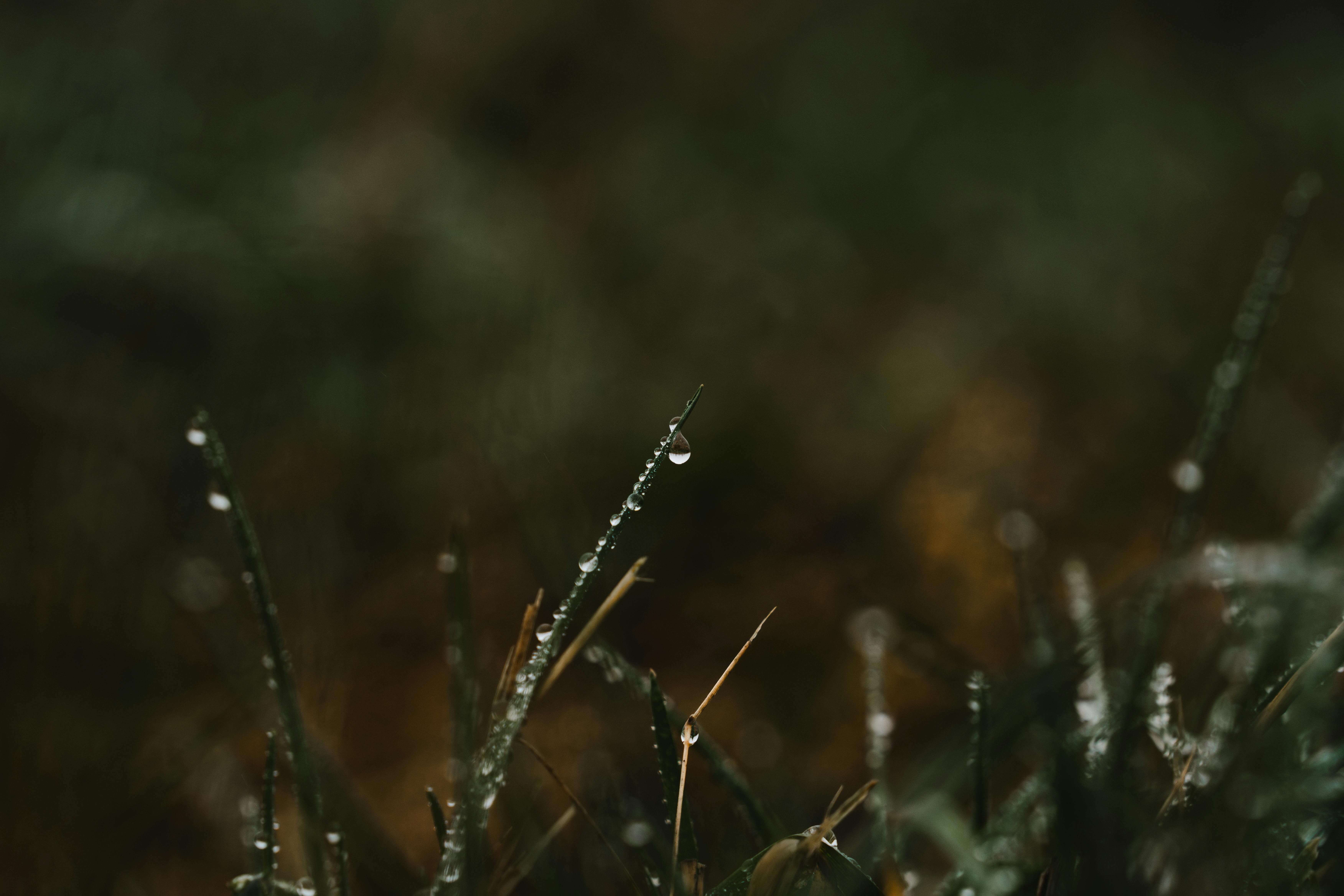 Mobile Friendly Design Secrets to Boost Your Traffic