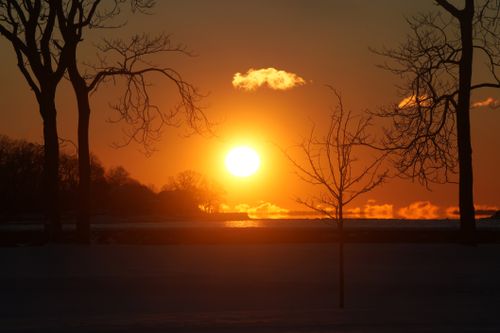 Free Captivating winter sunset over a serene landscape with silhouetted trees. Stock Photo