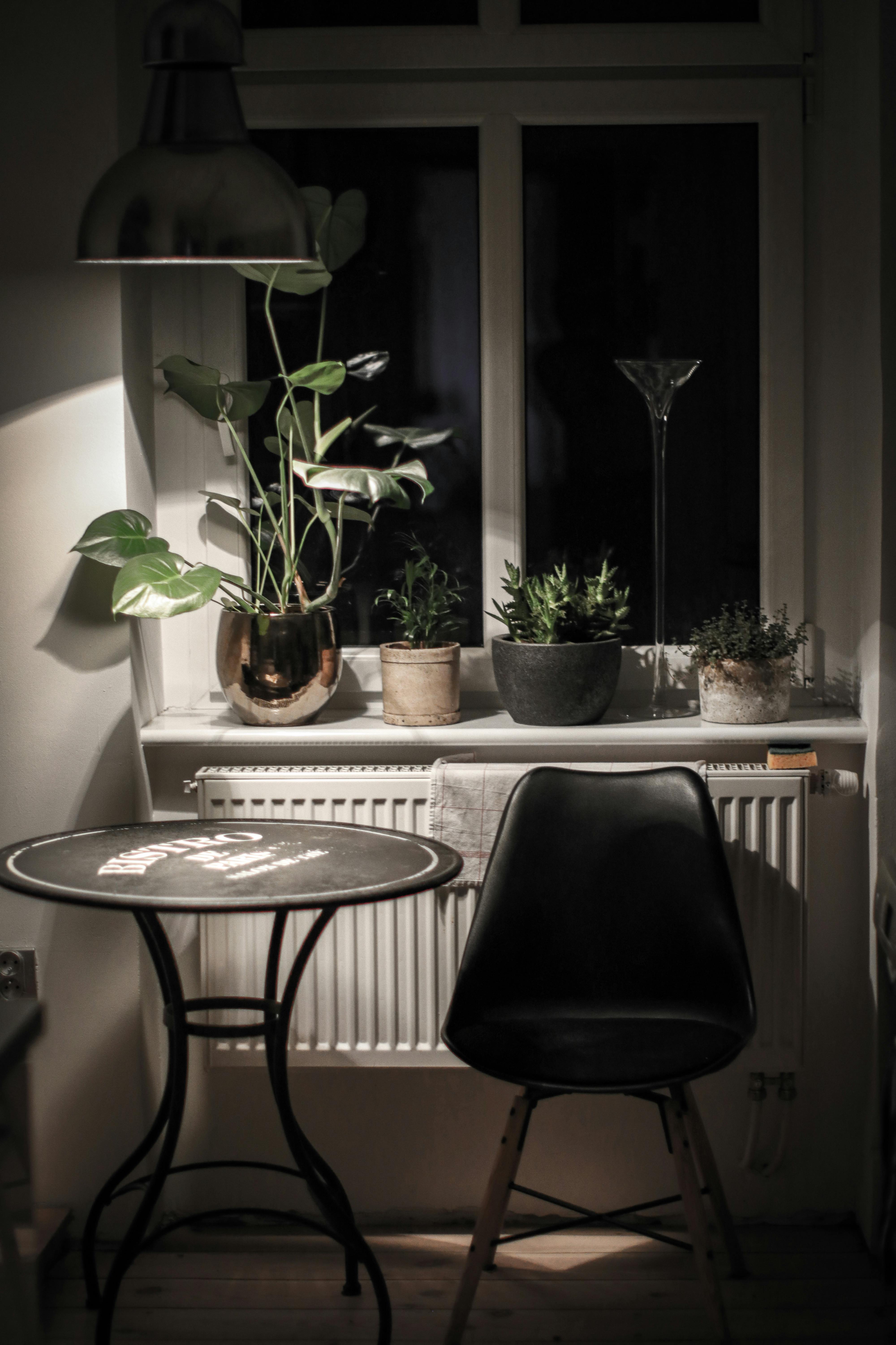 Free A stylish indoor setting with a round table, chair, and decorative houseplants under soft lighting. Stock Photo