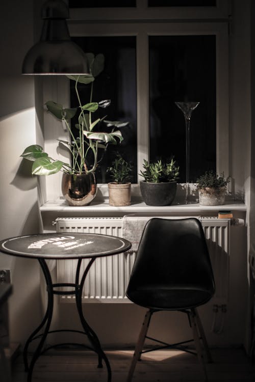 Gratis arkivbilde med bord, dekorative planter, innendørs