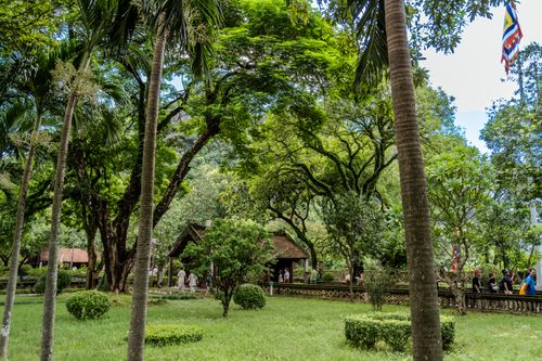 Free A vibrant green park scene with people strolling under tall trees on a sunny summer day. Stock Photo