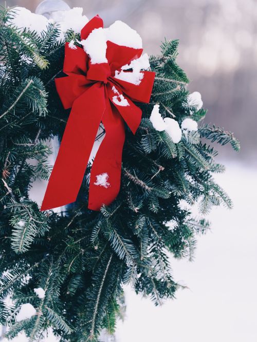 Free Festive winter wreath with a snow-dusted red bow, perfect for seasonal decoration. Stock Photo