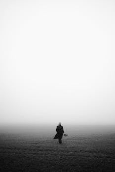 Silhouette of a lone figure walking in a misty field, creating a sense of solitude.