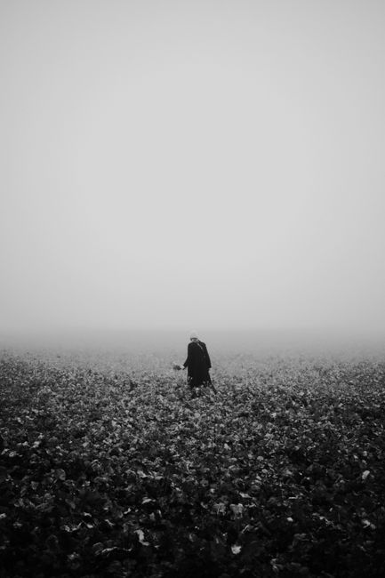 A lone figure stands in a vast foggy field, creating a moody atmosphere.