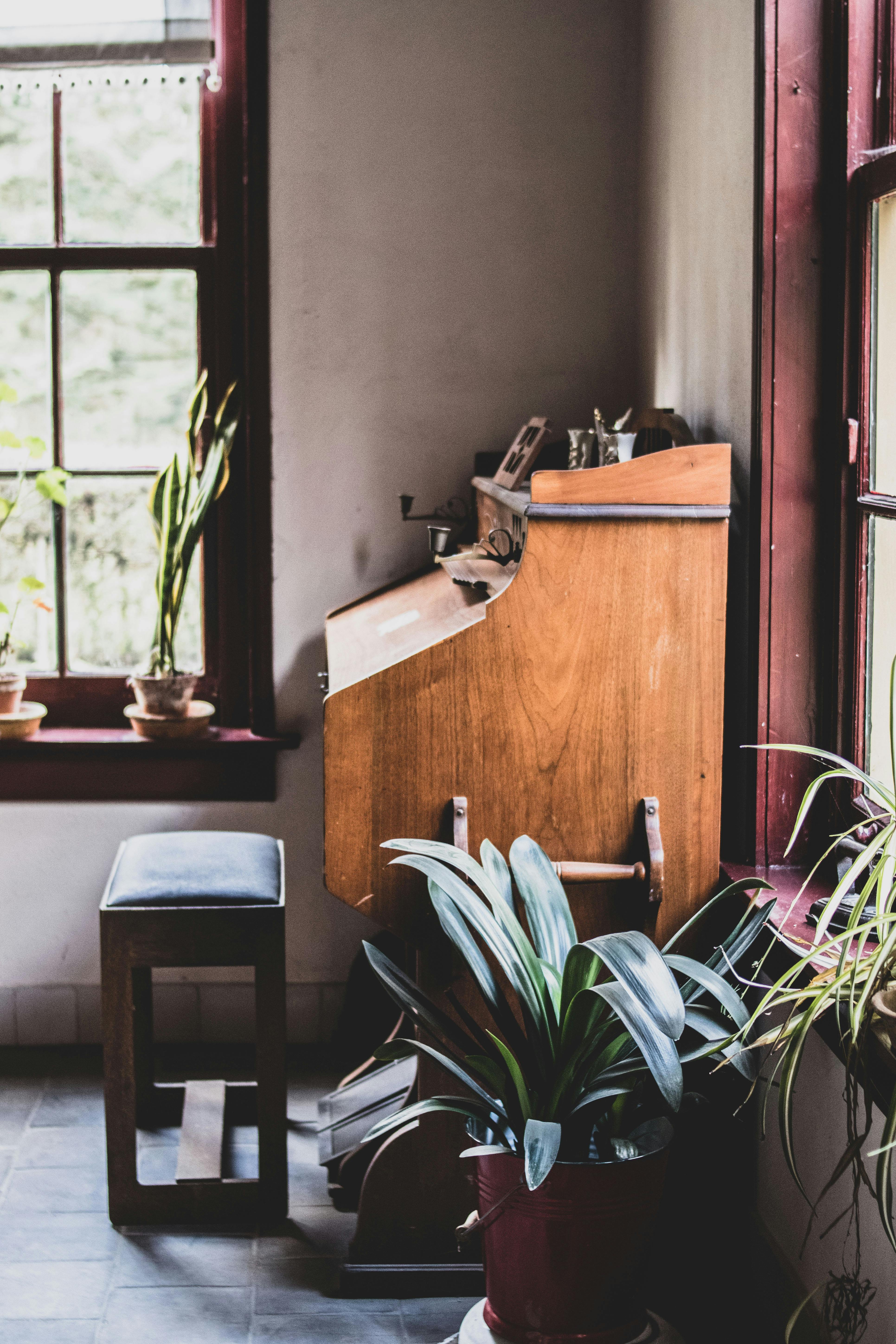 Free A charming interior scene featuring a vintage wooden desk and indoor plants near a sunlit window. Stock Photo