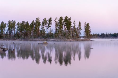 Free Tranquil scene of pine trees reflecting in calm lake during misty dawn. Stock Photo