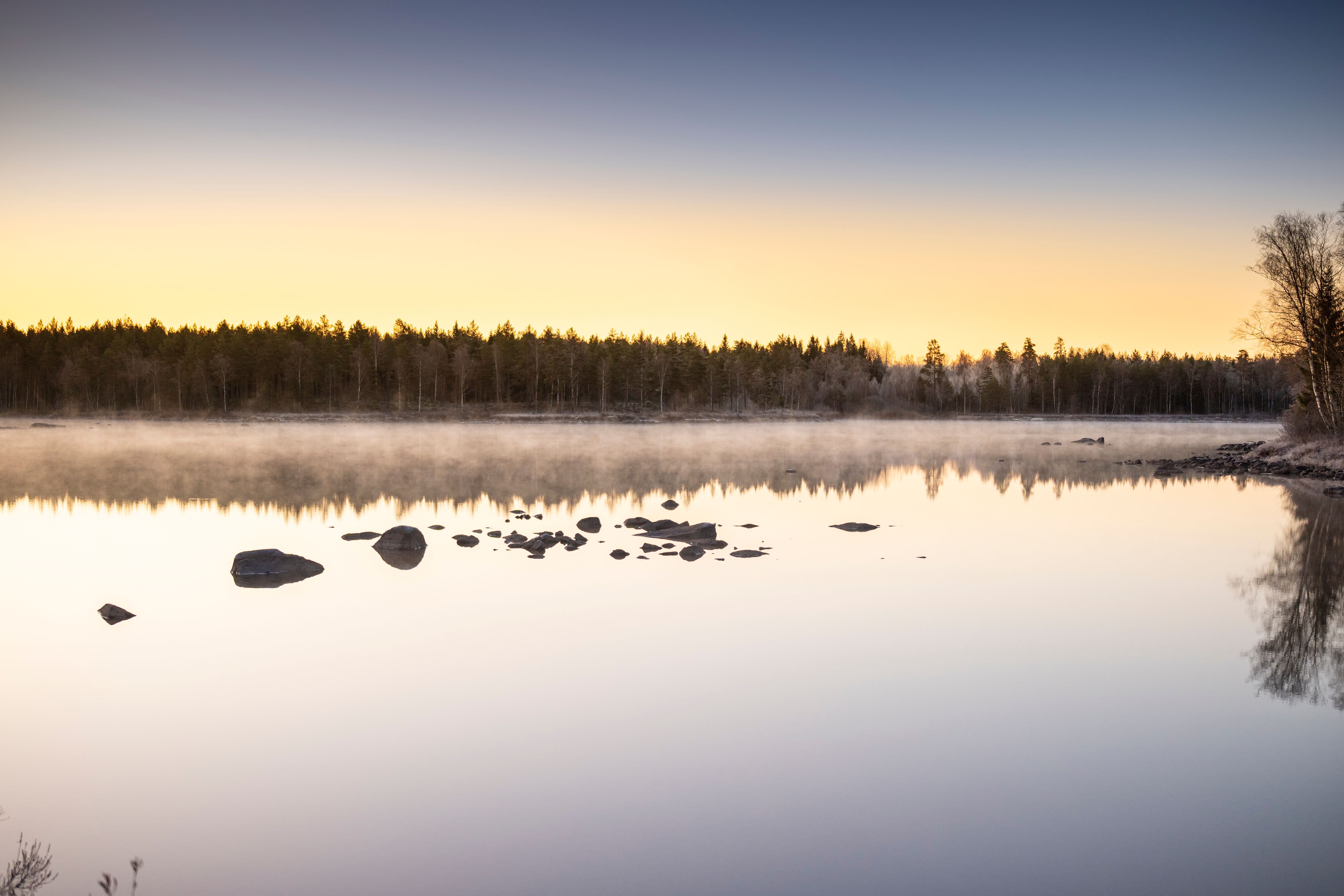 Peaceful lake scene at sunrise with mist over water and a forest backdrop