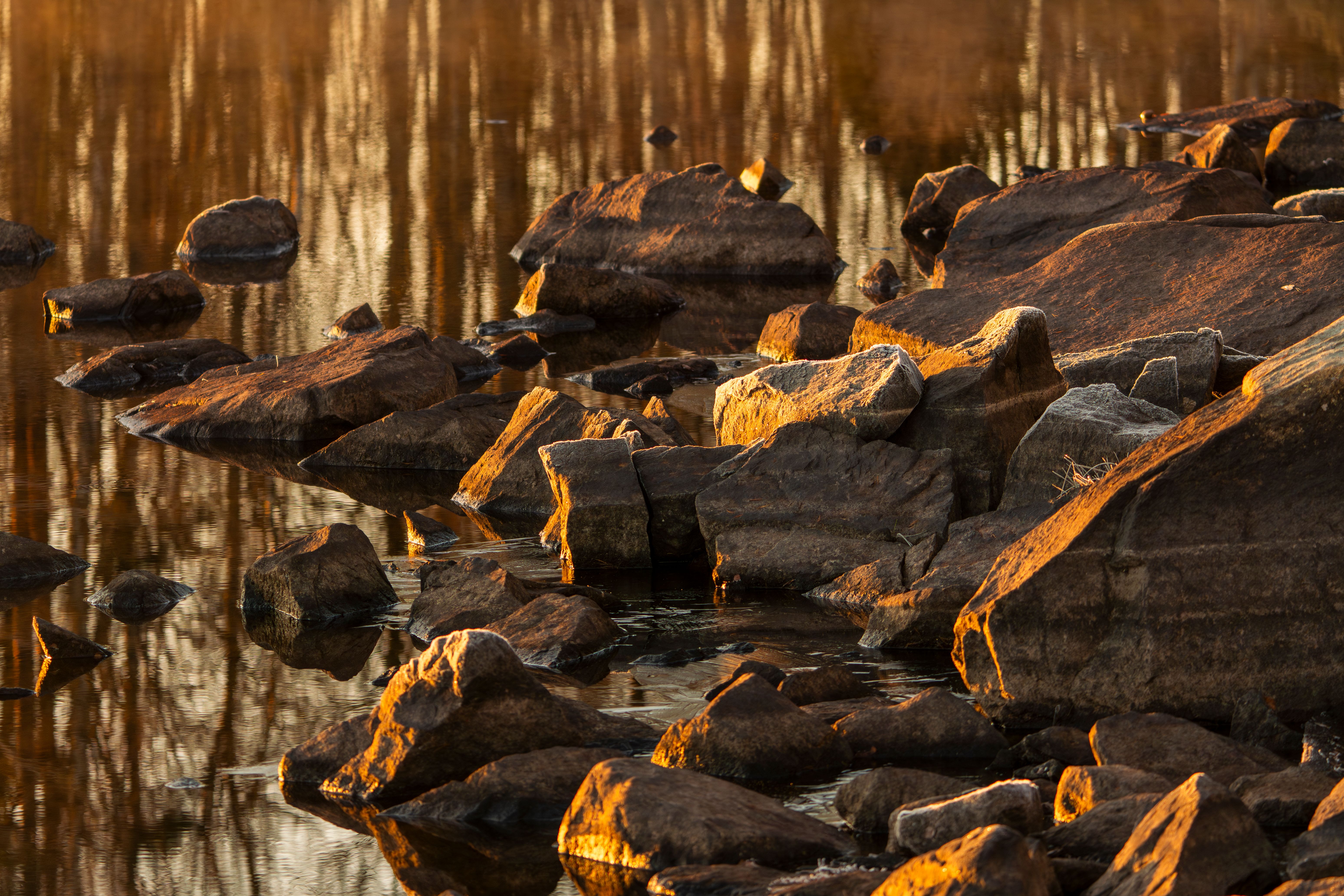 Golden Hour Rocks by a Tranquil Lake · Free Stock Photo