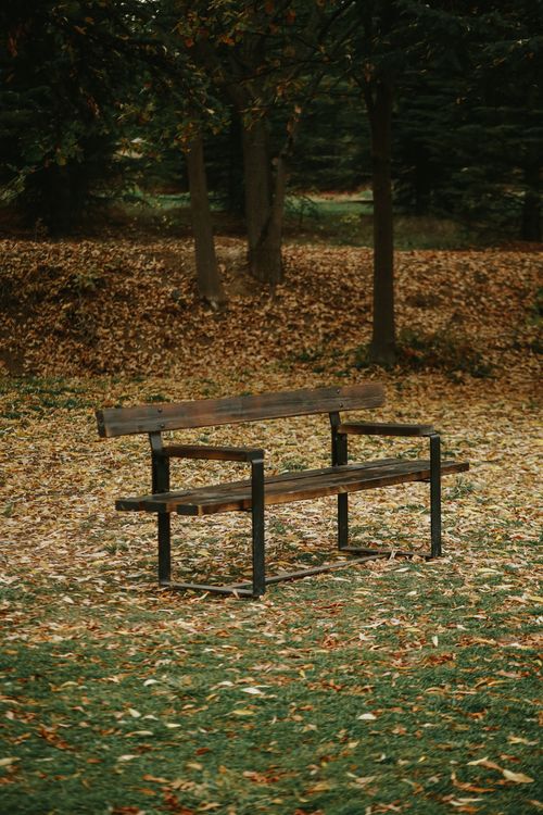 Free A lone rustic bench amidst an autumn park covered in fallen leaves, evoking tranquility. Stock Photo