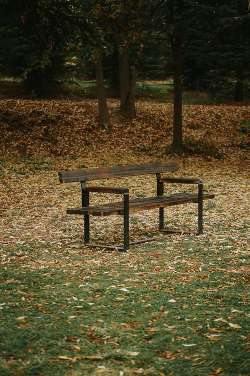 Free Rustic park bench surrounded by fallen autumn leaves in a serene forest. Stock Photo