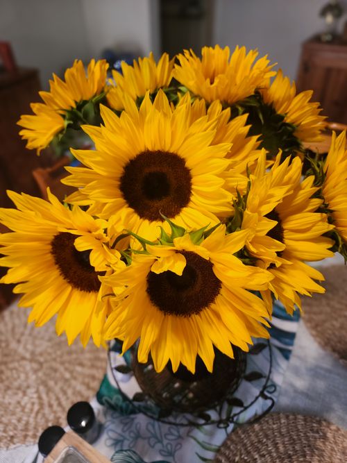 Free A beautiful bouquet of sunflowers captured in a cozy indoor setting, exuding warmth and brightness. Stock Photo