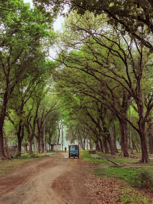 Free A tranquil forest path lined with lush green trees, featuring a vintage vehicle and a distant figure. Stock Photo