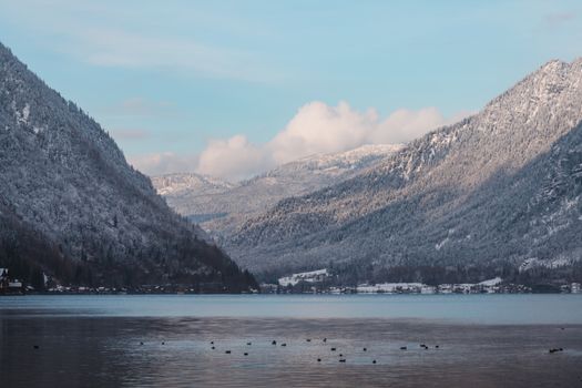 Serene winter landscape of a snow-covered mountain lake with ducks and peaceful reflections.