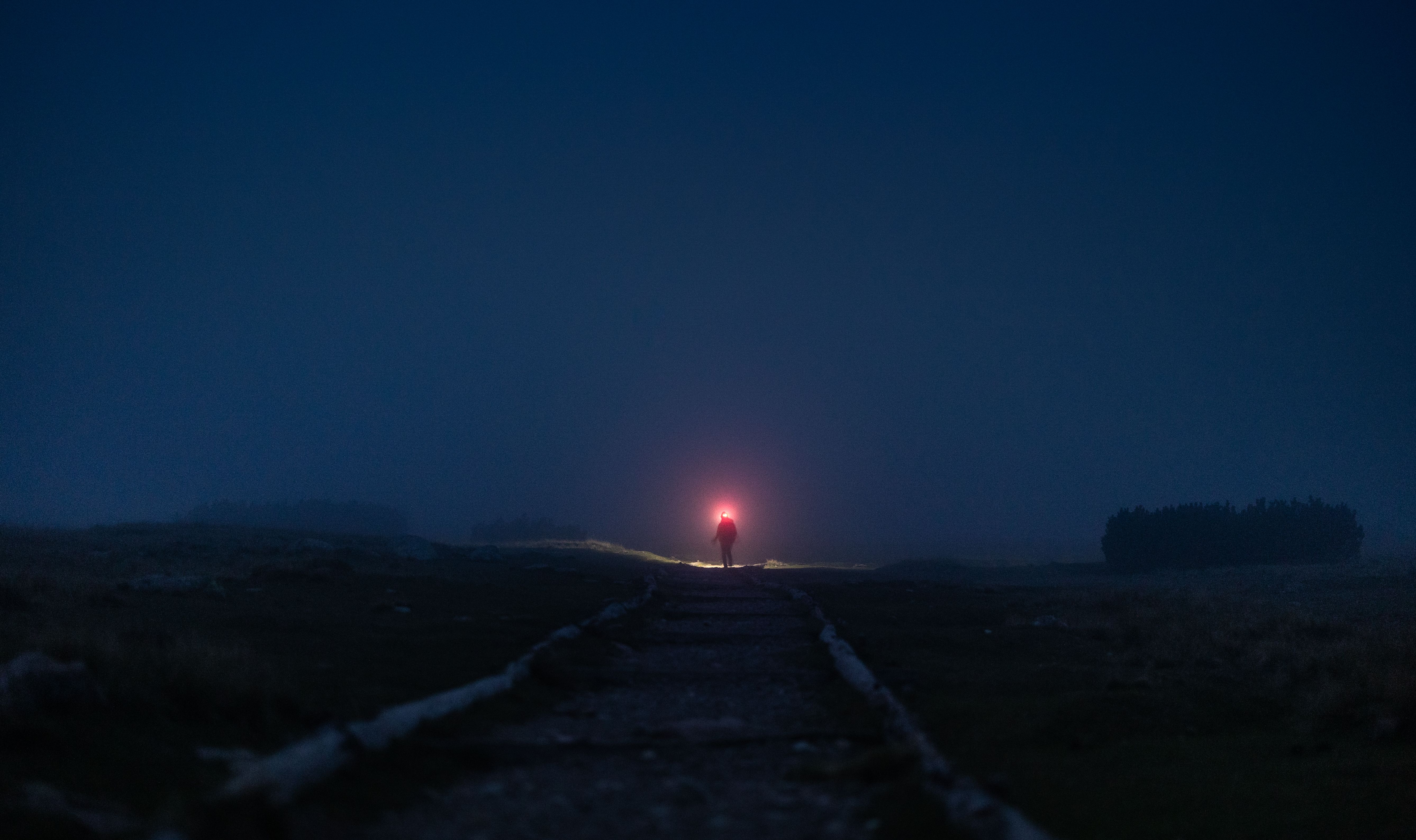 Mysterious Night Walk on Foggy Path · Free Stock Photo