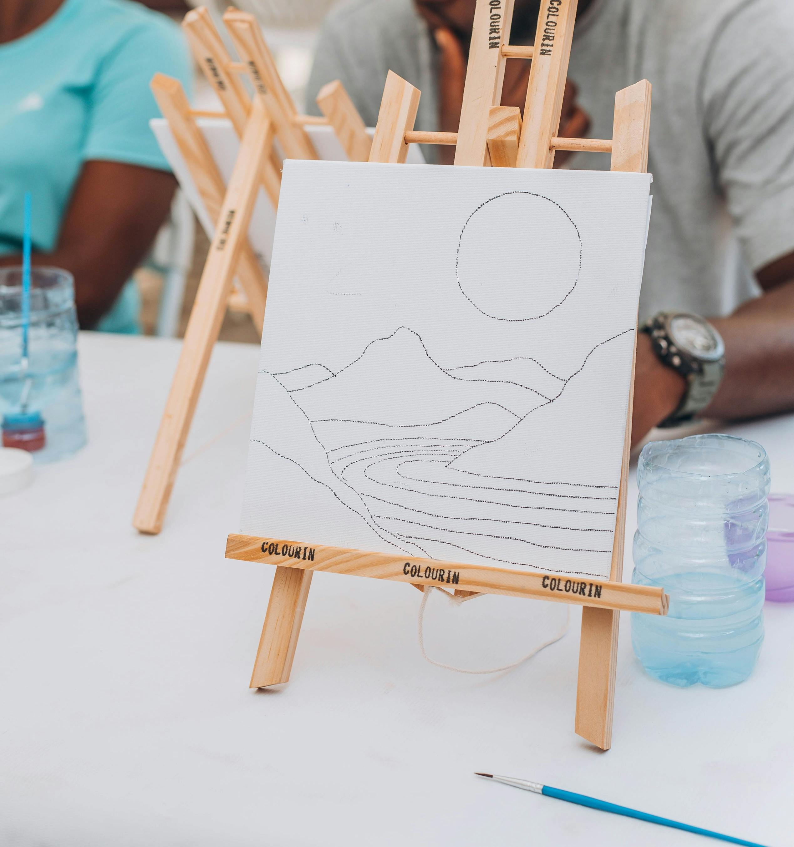 Birdwatching For Beginners