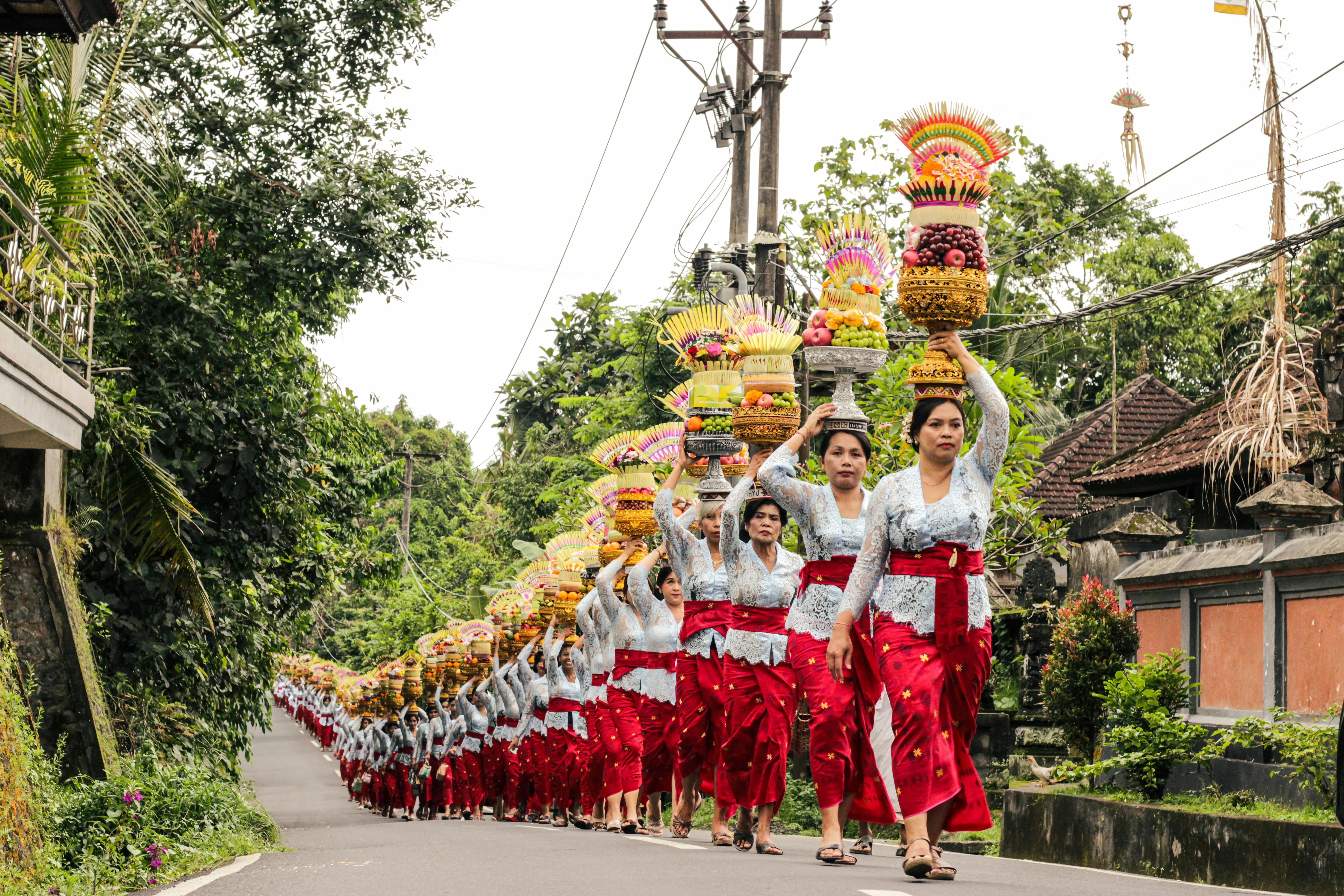 Balinese: Μακρύτριχη Σιαμέζα ή Ξεχωριστή Ράτσα;