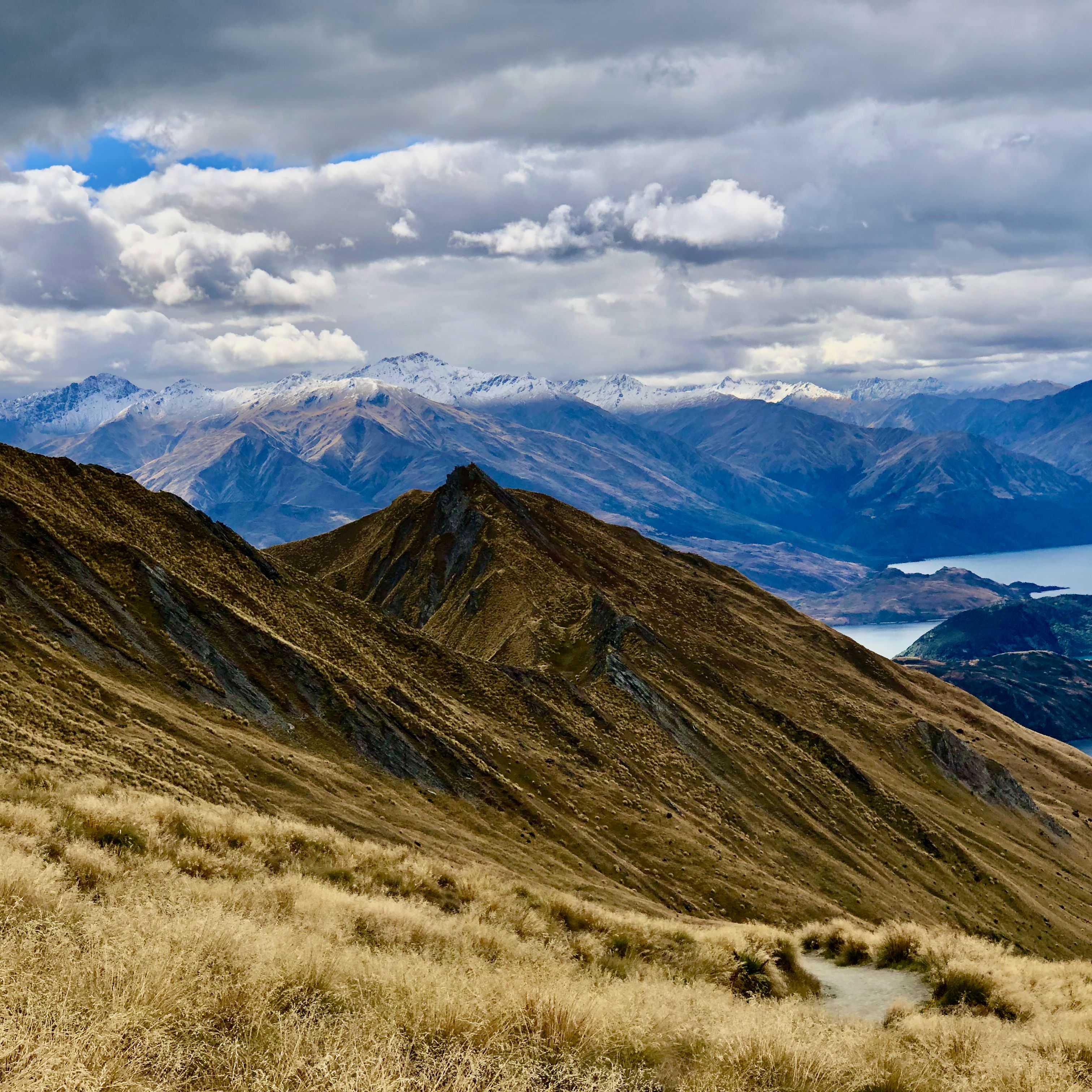 Tussock ridge above a lake — photo by Elijah Cobb on Pexels