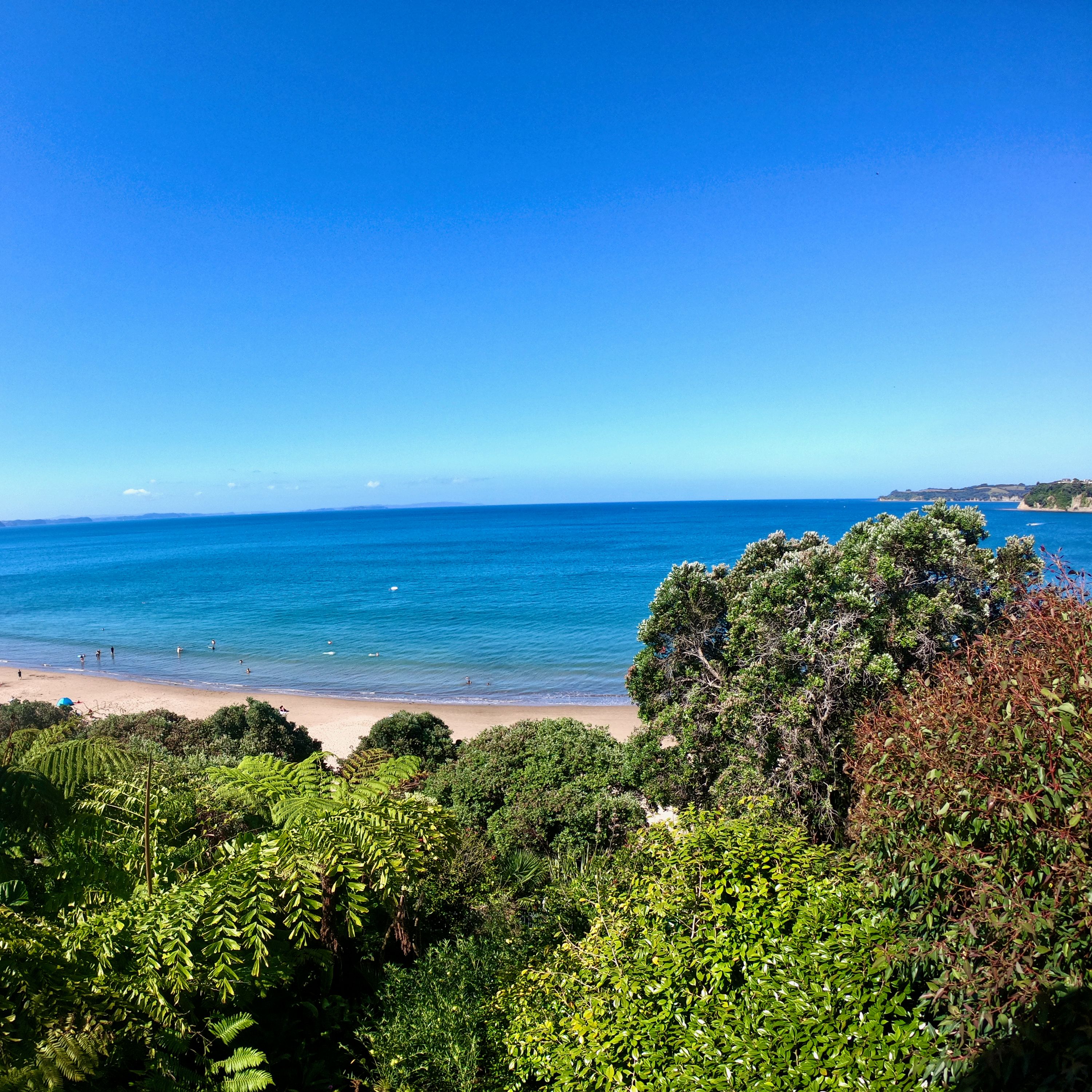 Waiheke Island Şarap Turu