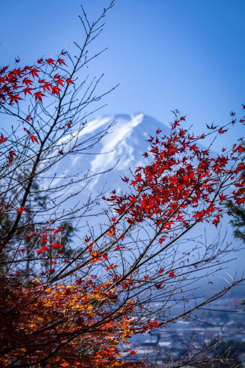 秋の富士山の素晴らしい景色 · 無料の写真素材