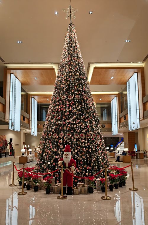 Free Grand Christmas tree with Santa in a festive indoor setting. Stock Photo