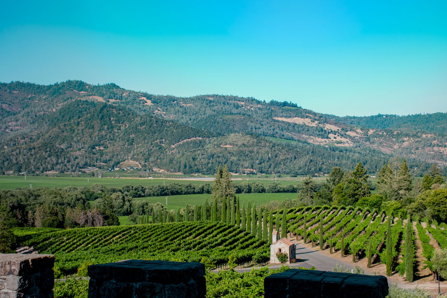 Vineyard stretching across Napa Valley, California, under a clear blue sky.