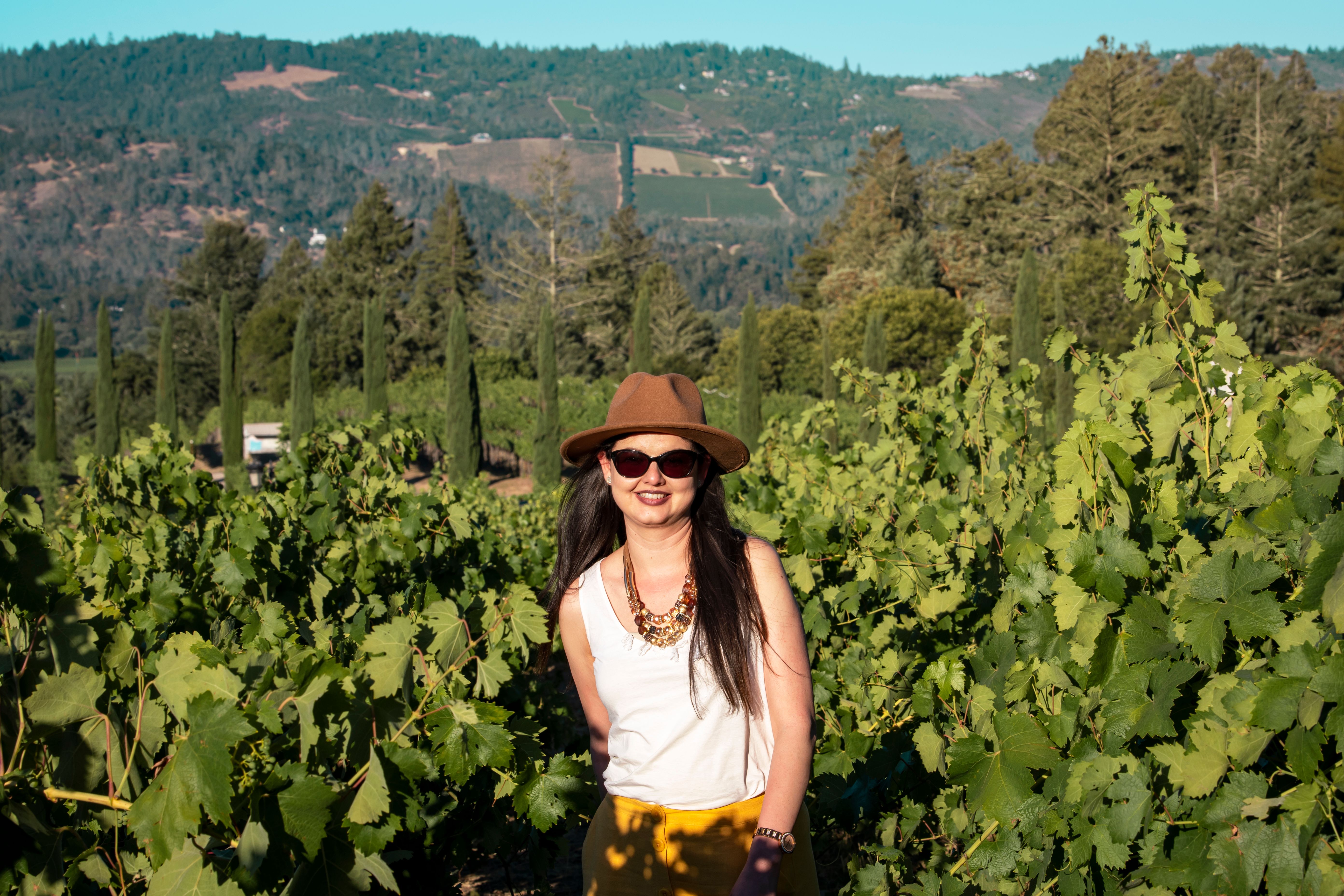 Tours, activities & tickets in Napa