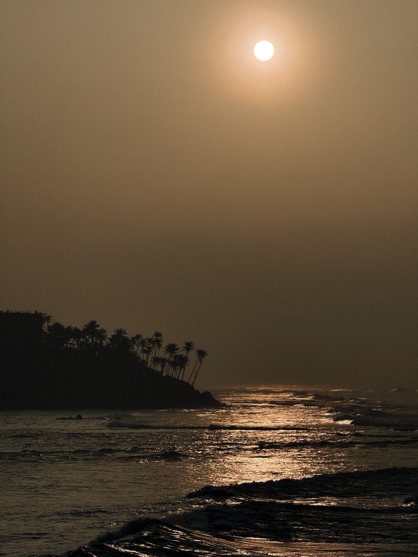 Goldener Sonnenuntergang über dem Indischen Ozean mit Palmensilhouetten an Sri Lankas Küste