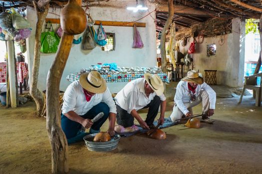 Three men skillfully crafting traditional musical instruments inside a rustic workshop, Topolobampo, Mexico.