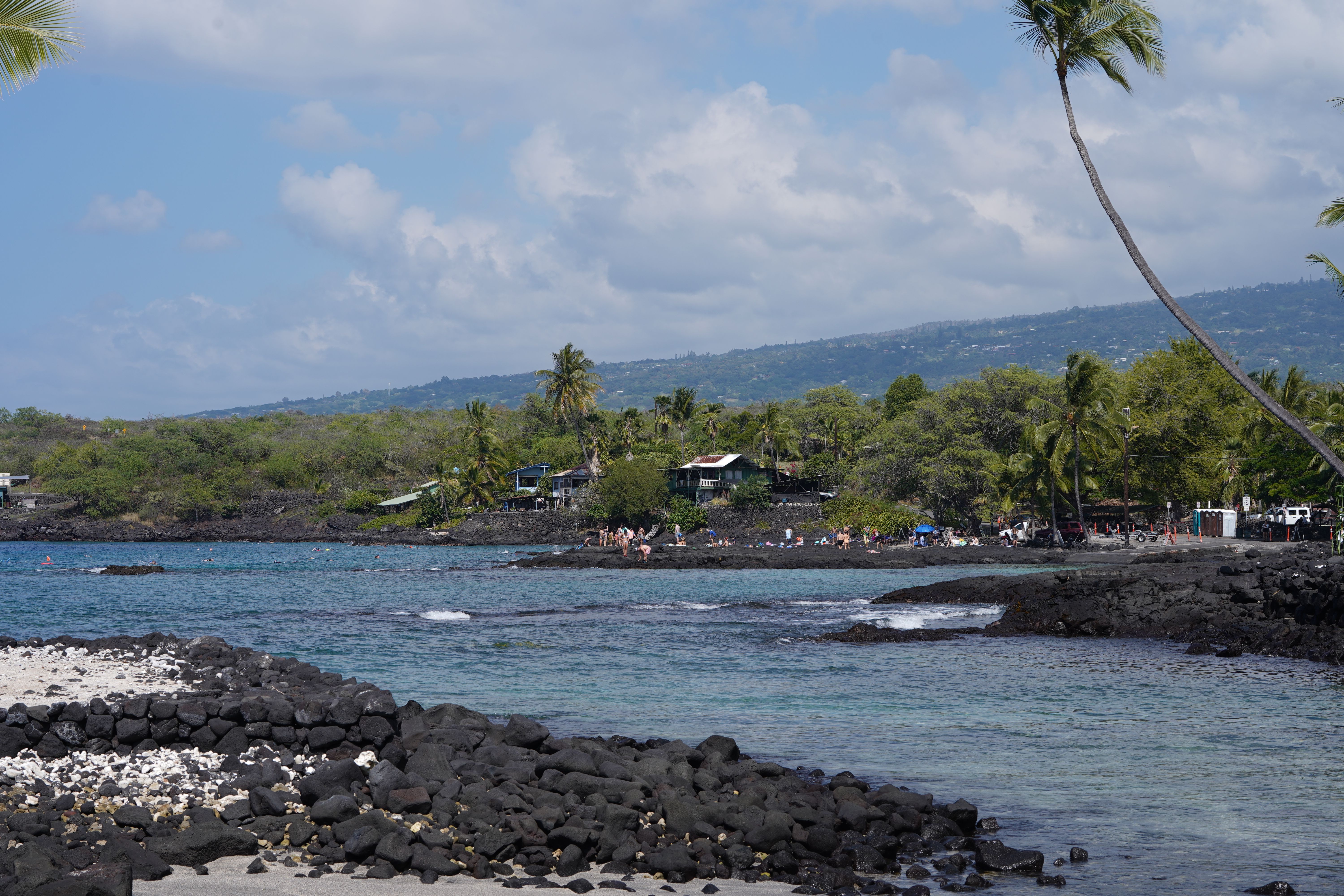 A beautiful tropical beach with palm trees and lava rocks by the ocean, ideal for vacation and relaxation.