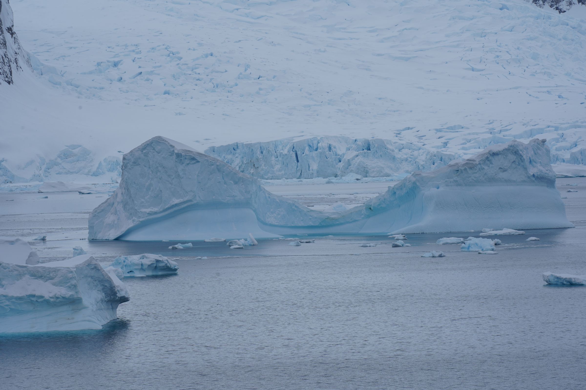 Icebergs and glaciers in Antarctica