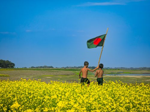 Free Two children in a mustard field carrying the Bangladesh flag under a clear blue sky. Stock Photo