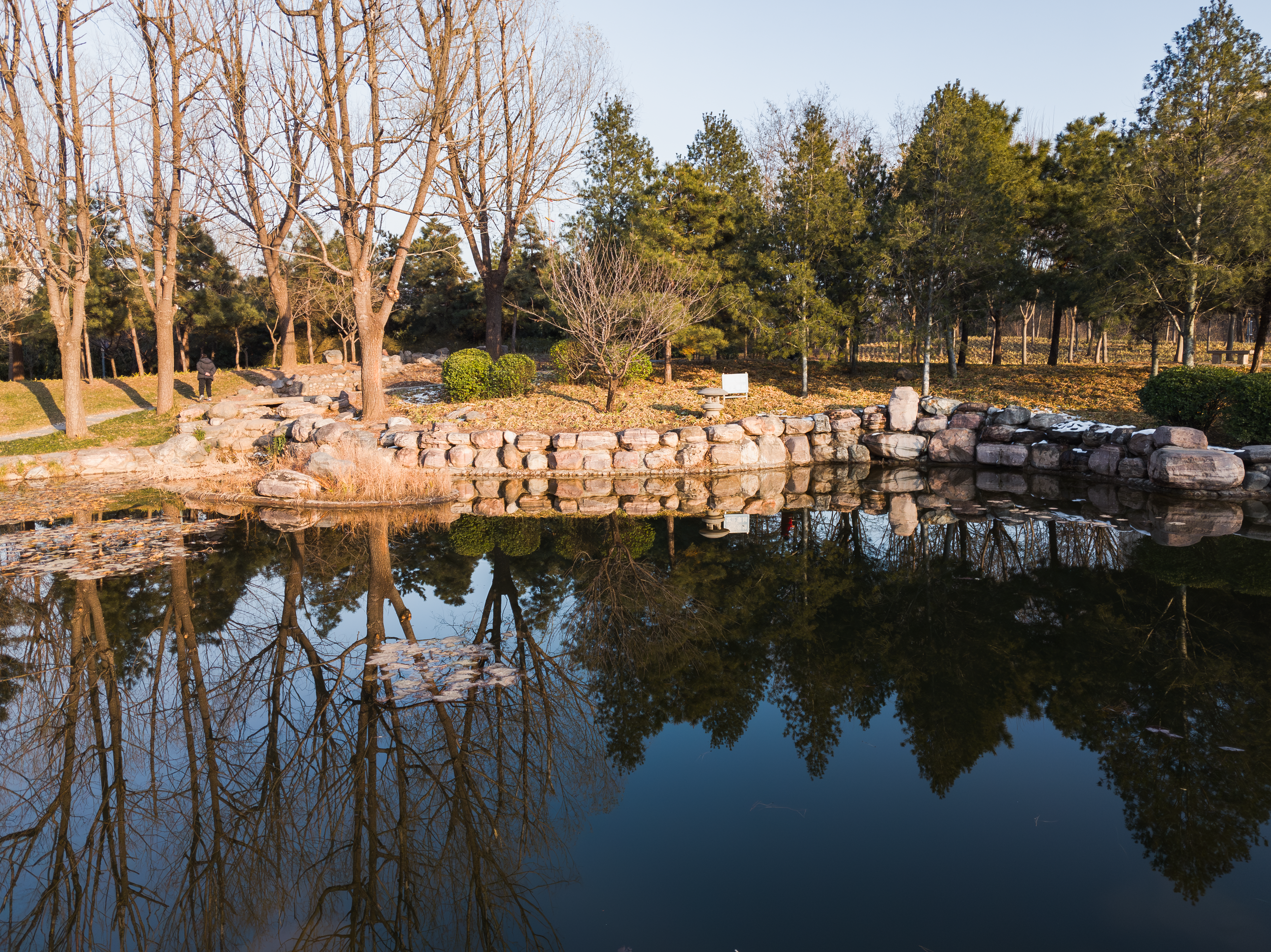Serene Winter Landscape with Reflective Pond · Free Stock Photo