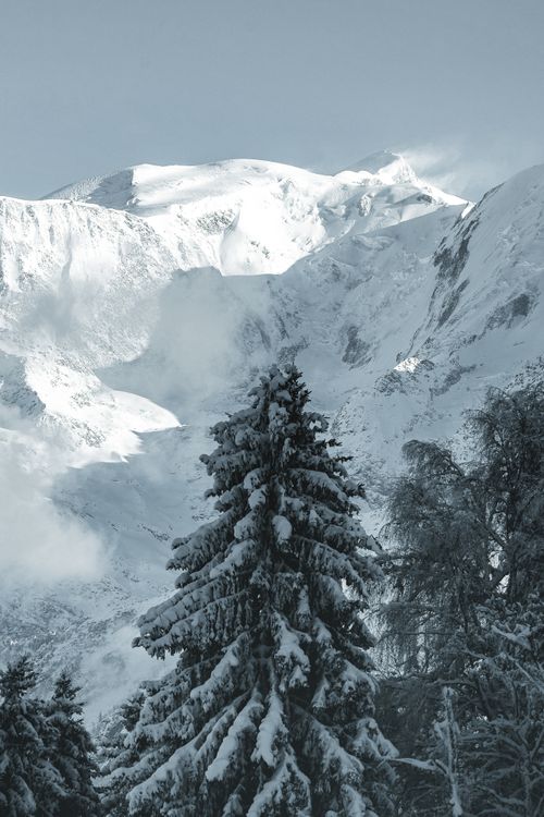 Free Majestic snow-covered mountains with serene winter trees, perfect for seasonal photography. Stock Photo