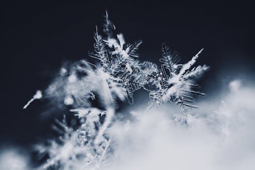 Detailed macro shot of intricate snowflakes against a dark background.