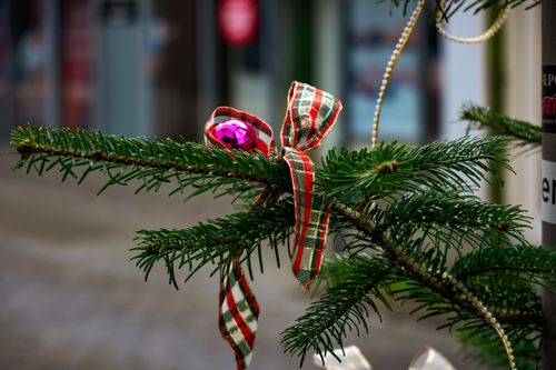 Free Close-up of a decorated Christmas branch with a red ornament and plaid ribbon in a festive setting. Stock Photo