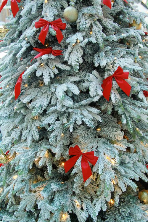 Free Snow-covered Christmas tree adorned with red ribbons and gold ornaments, creating a festive holiday atmosphere. Stock Photo