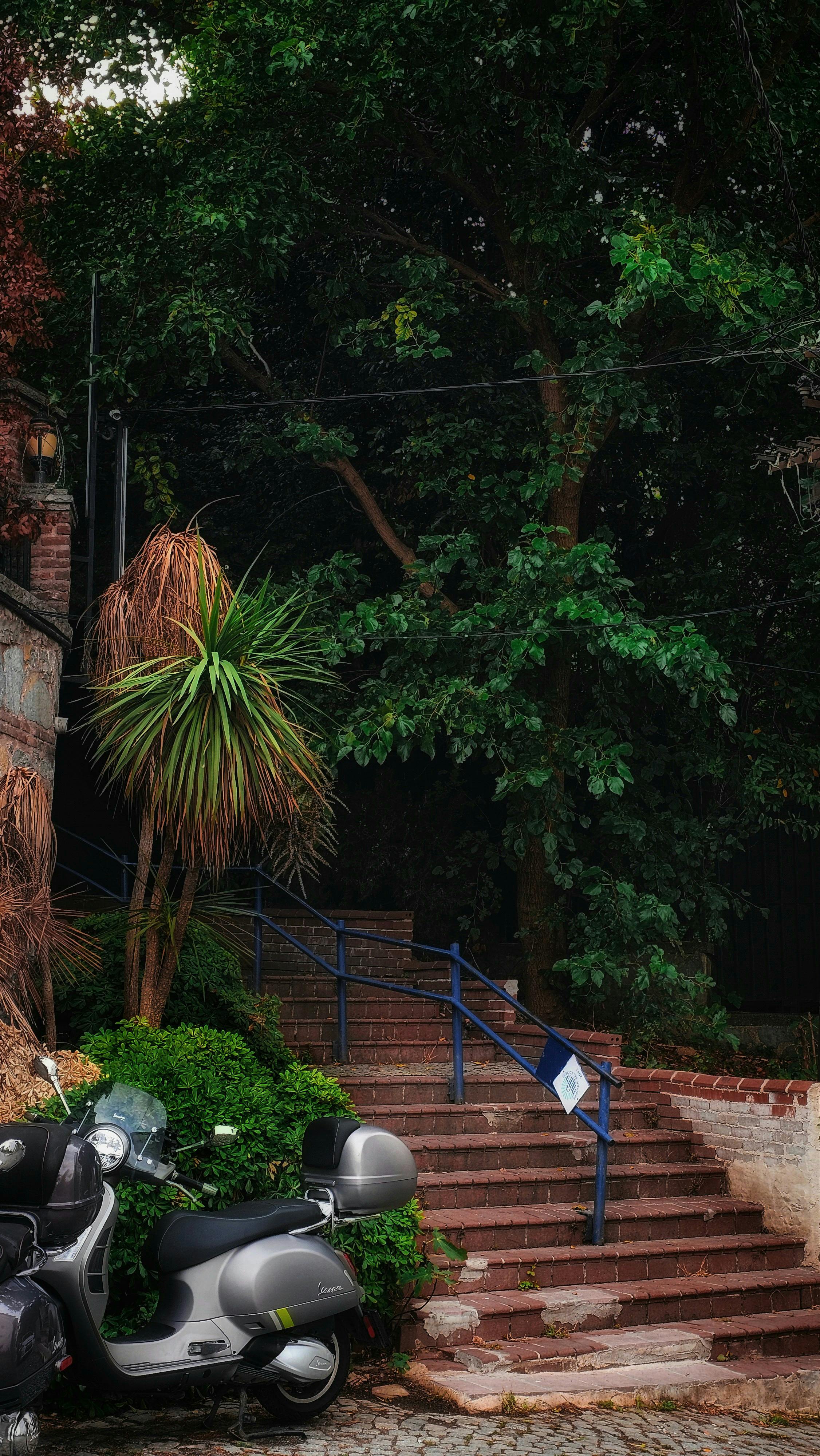 Mobility scooter in seasonal outdoor environment showing weather protection