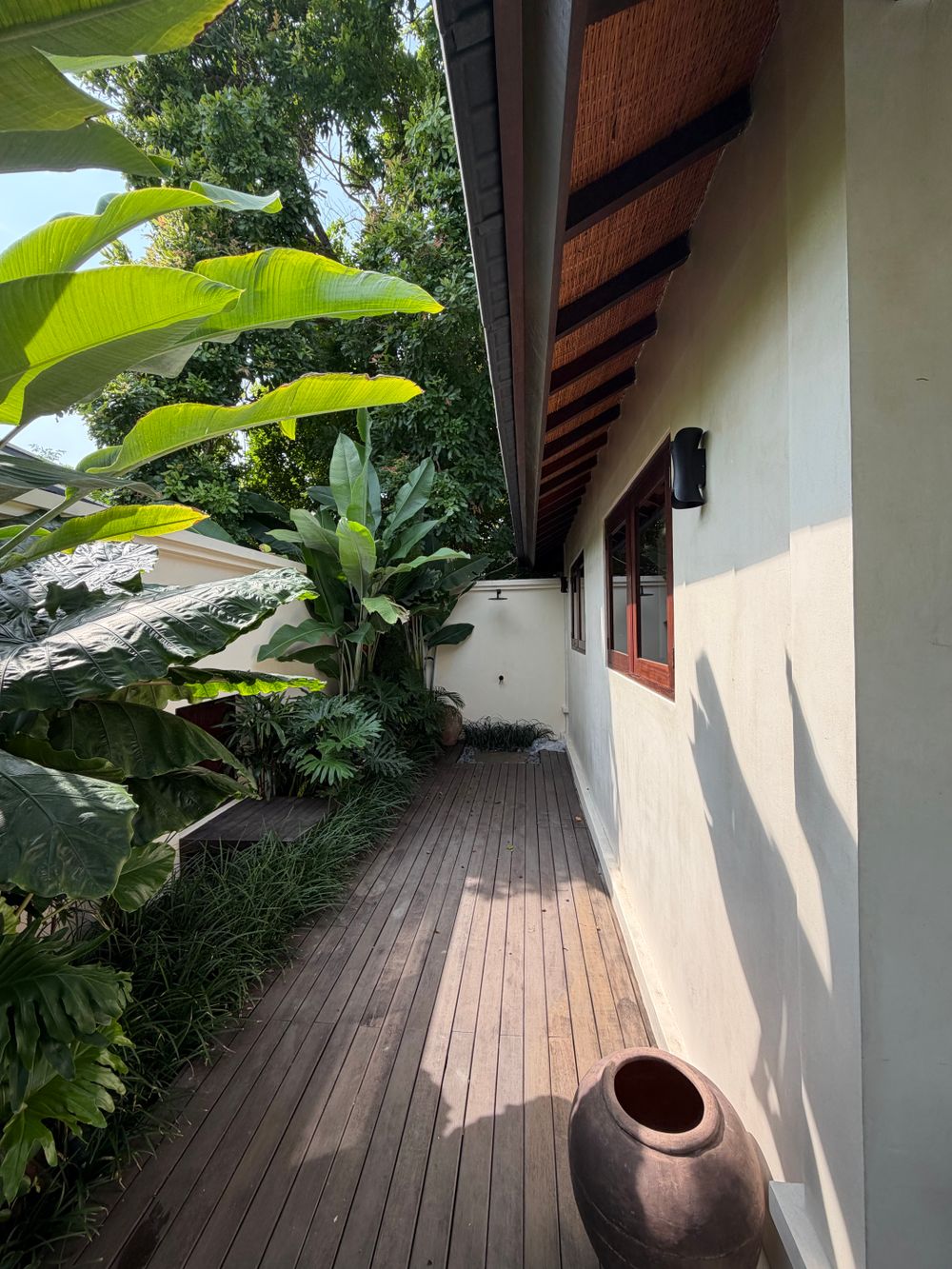 Terrasse en bois entourée d'une végétation dense