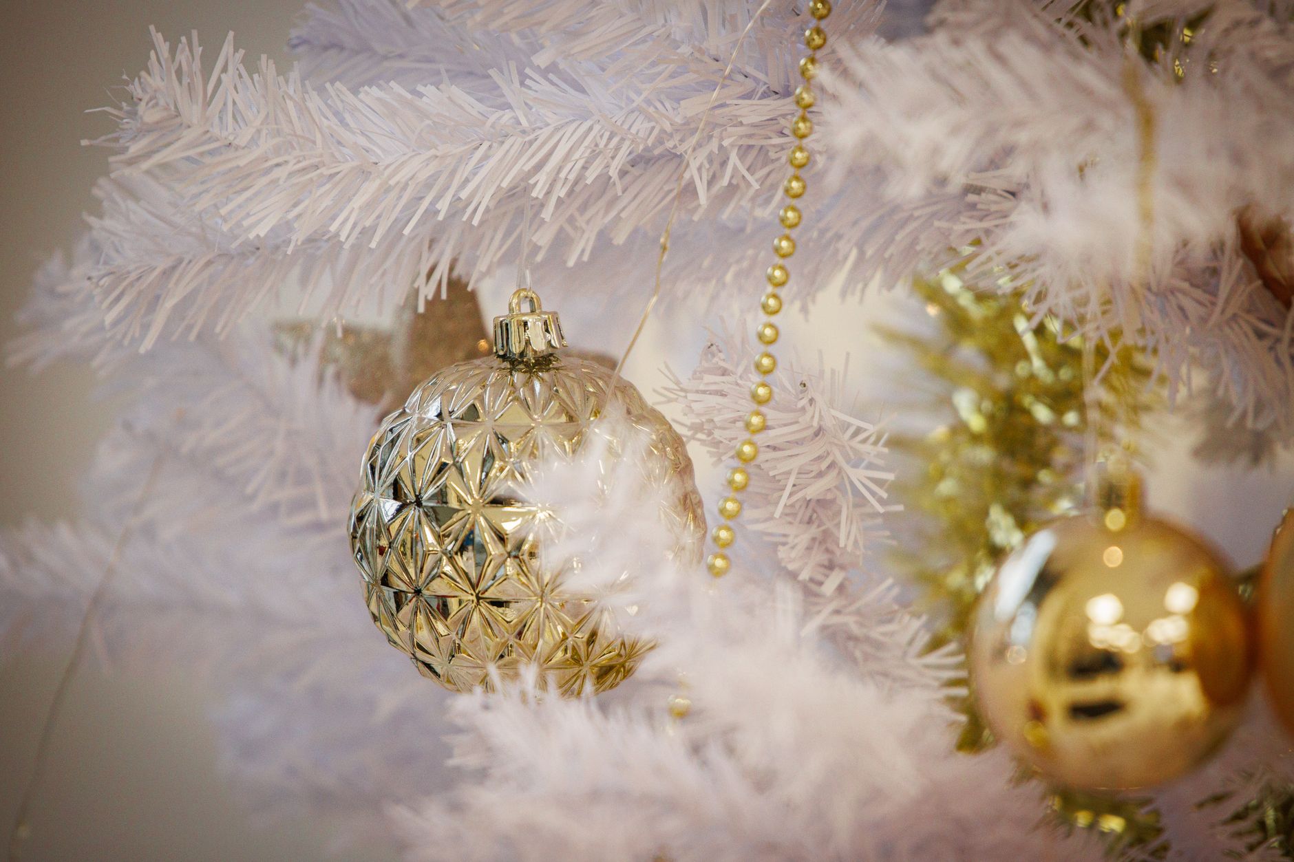 Celebrar Navidad lejos de Casa en Suecia