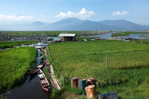 Free Lush rice fields and boats near mountains under a blue sky, ideal for travel and nature themes. Stock Photo