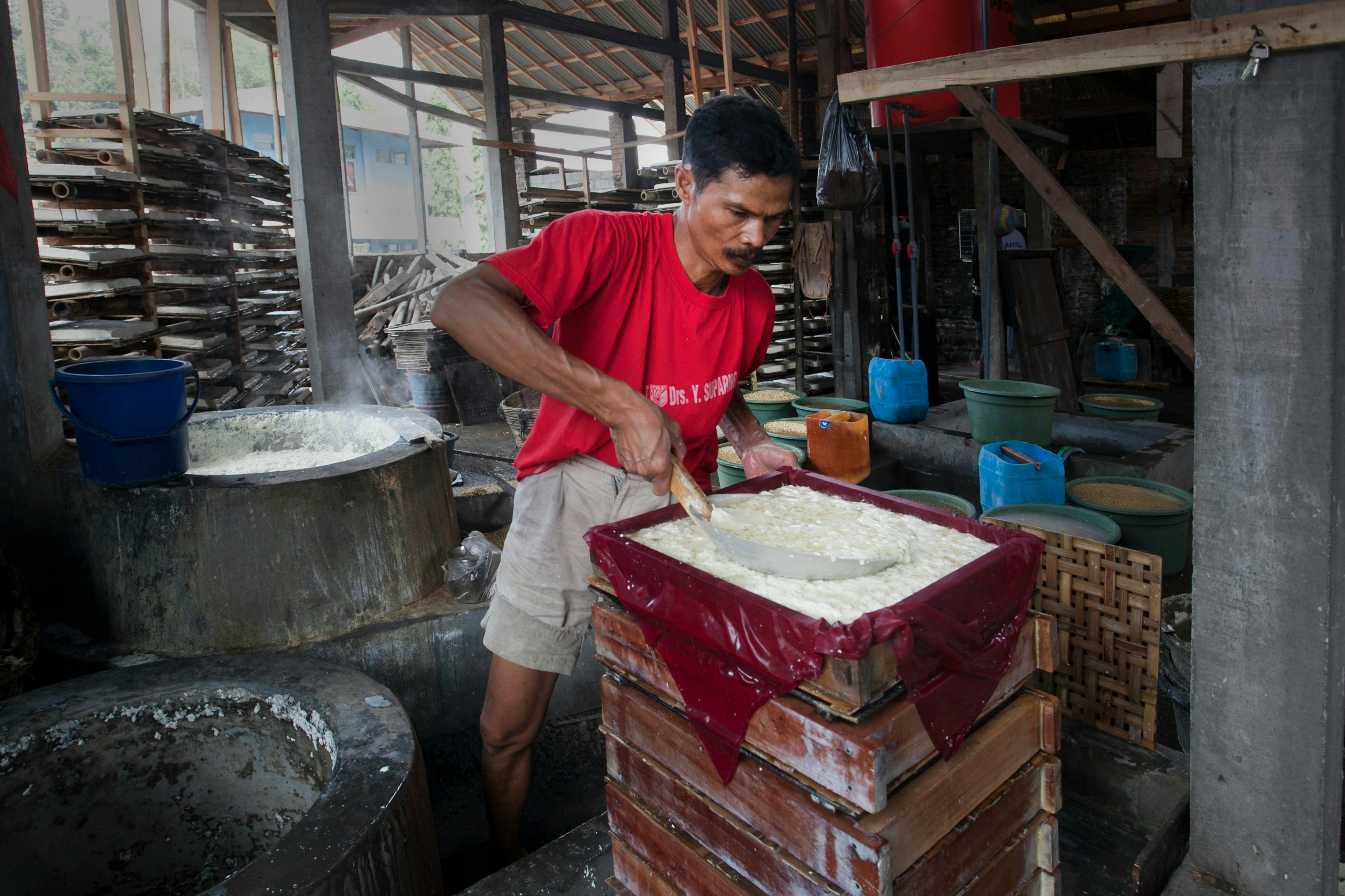 Emiten COCO Ekspansi Bisnis Kakao Perkuat Industri Cokelat Nasional