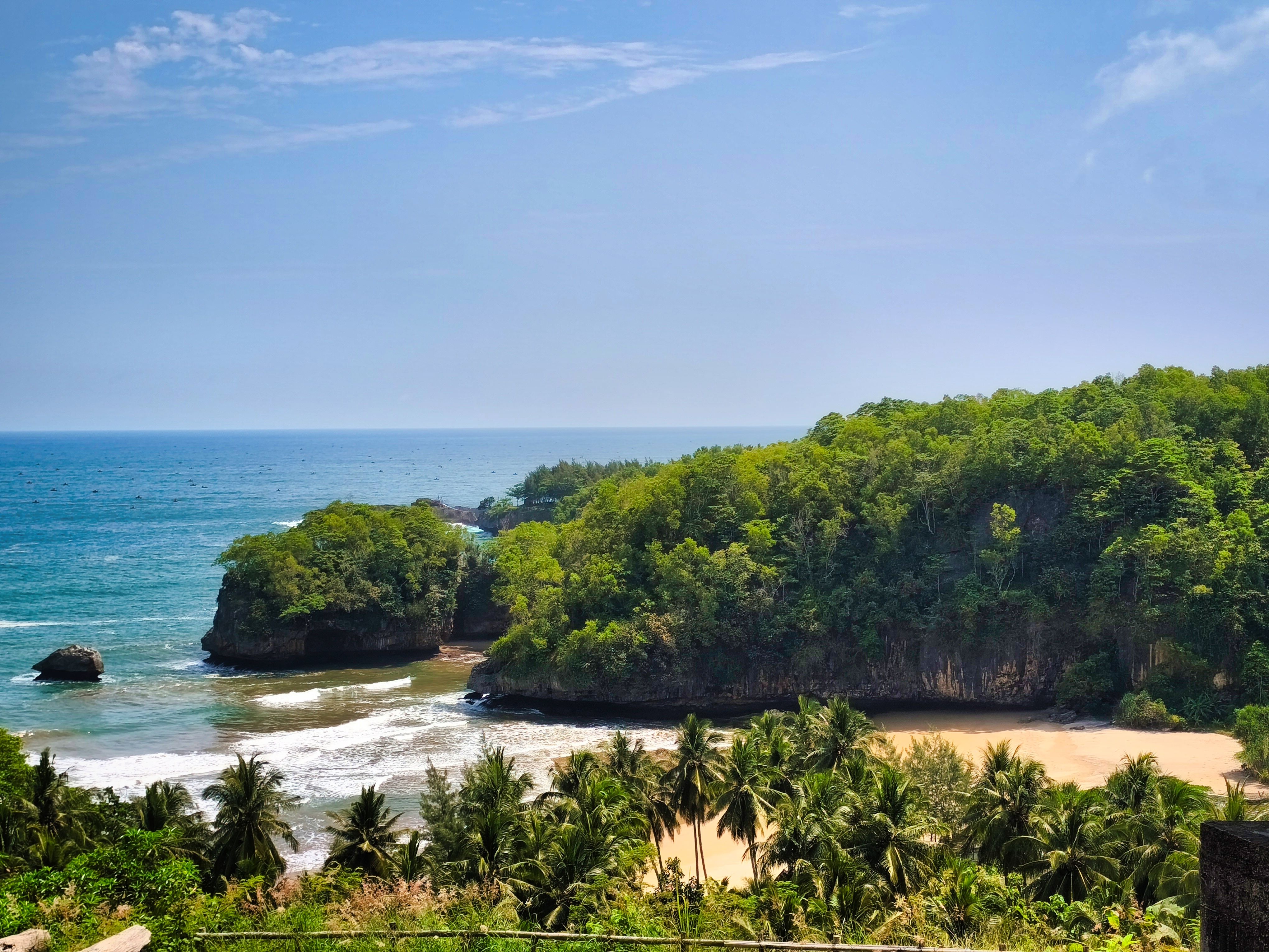 Ogrody Frenchman's Cove